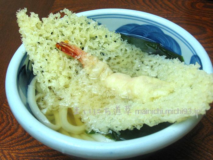 天ぷらうどん(小)450円