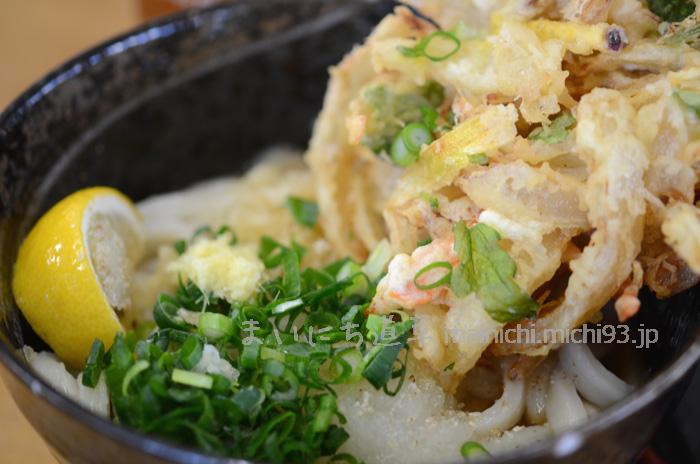 ぶっかけ(小)290円 かき揚げ100円