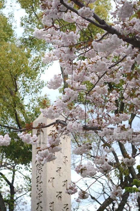 西新井大師は、真言宗豊山派の寺院