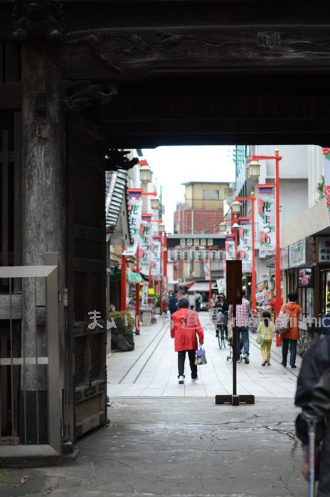 山門から参道を眺める